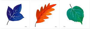 ycd029-